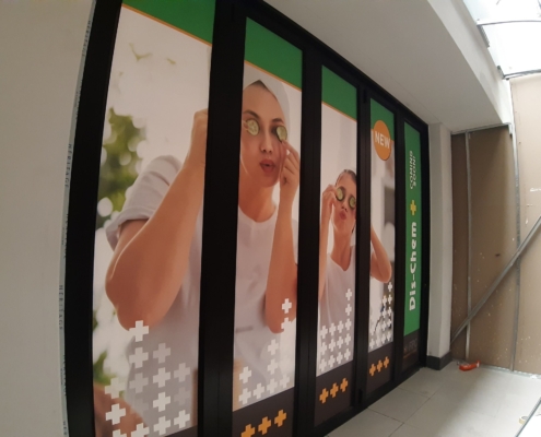 Dischem Ottery Windows_C